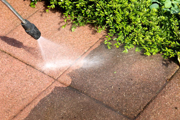 Best Deck Cleaning Services  in Chicago Heights, IL